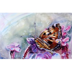 Motyl